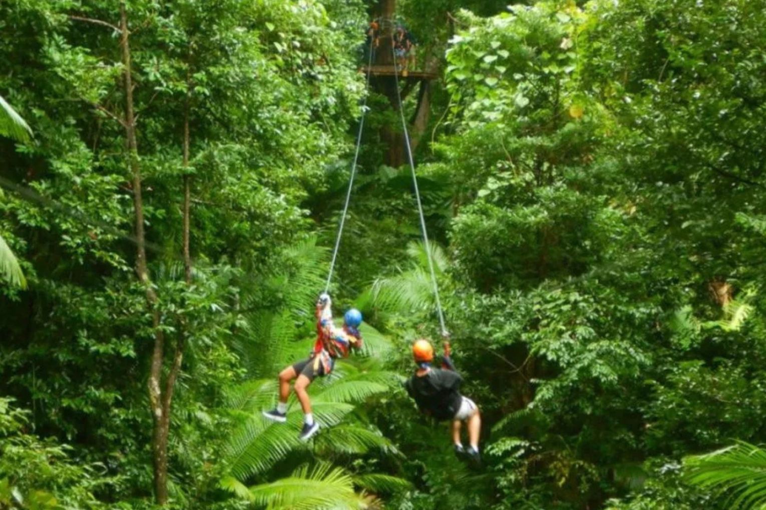 A man died after he and his wife fell up to 25 metres through a rainforest canopy from a zipline.