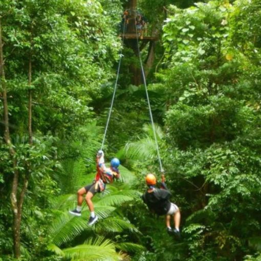 Thumbnail for Widow reacts as Cape Tribulation zipline safety approach detailed