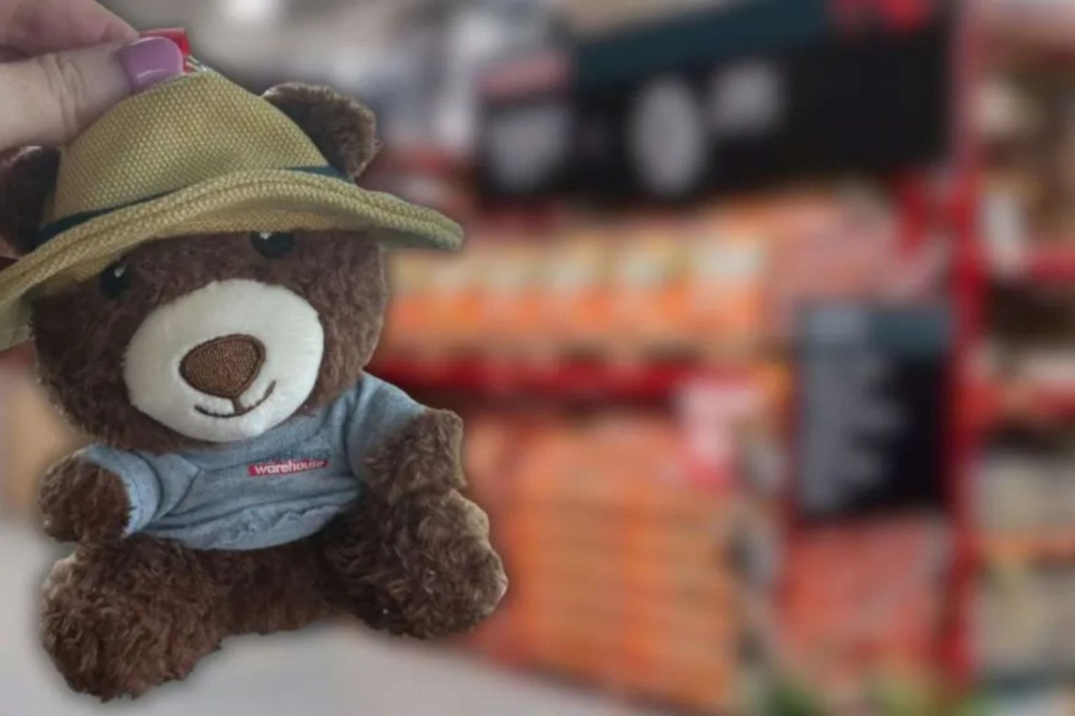 Thumbnail for Customers go wild for Bunnings' 'bogan Labubus'