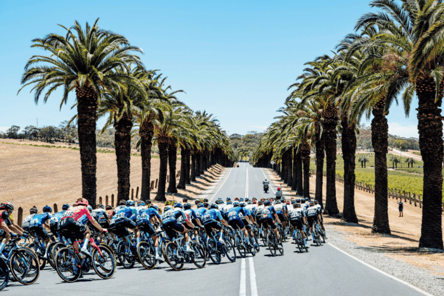 The Santos Tour Down Under returns from January 16-25.
