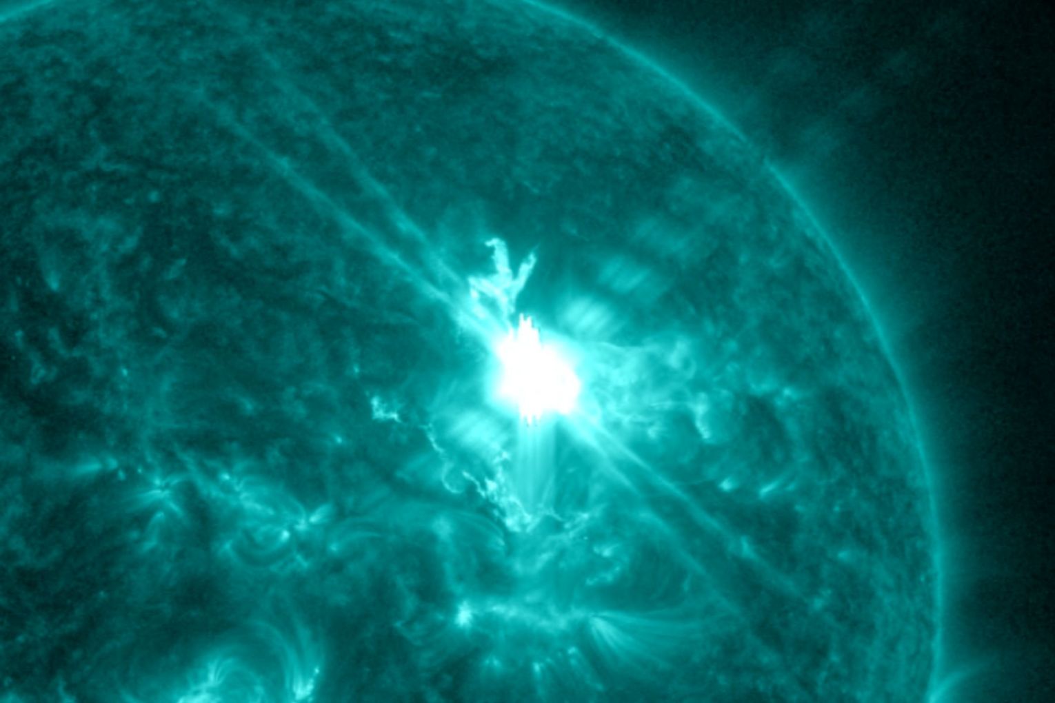 A solar flare erupts from the Sun on November 11. Picture: NASA/SDO