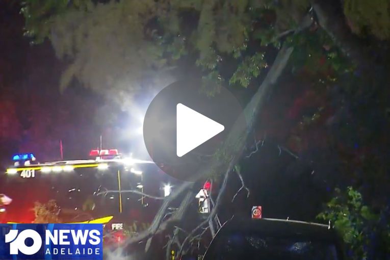 Thumbnail for VIDEO: Thousands without power after wild wind | Torrens Park arson attack