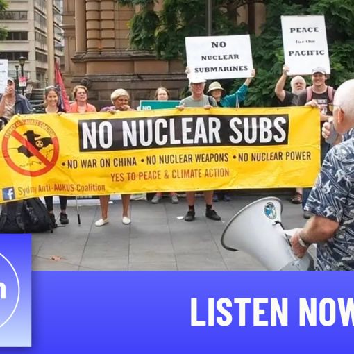 Thumbnail for The AFP’s secretive new anti-protest command 