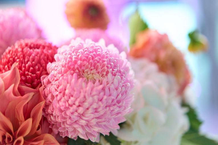 Thumbnail for Helpmann Academy Graduate Exhibition 2026 VIP Vernissage