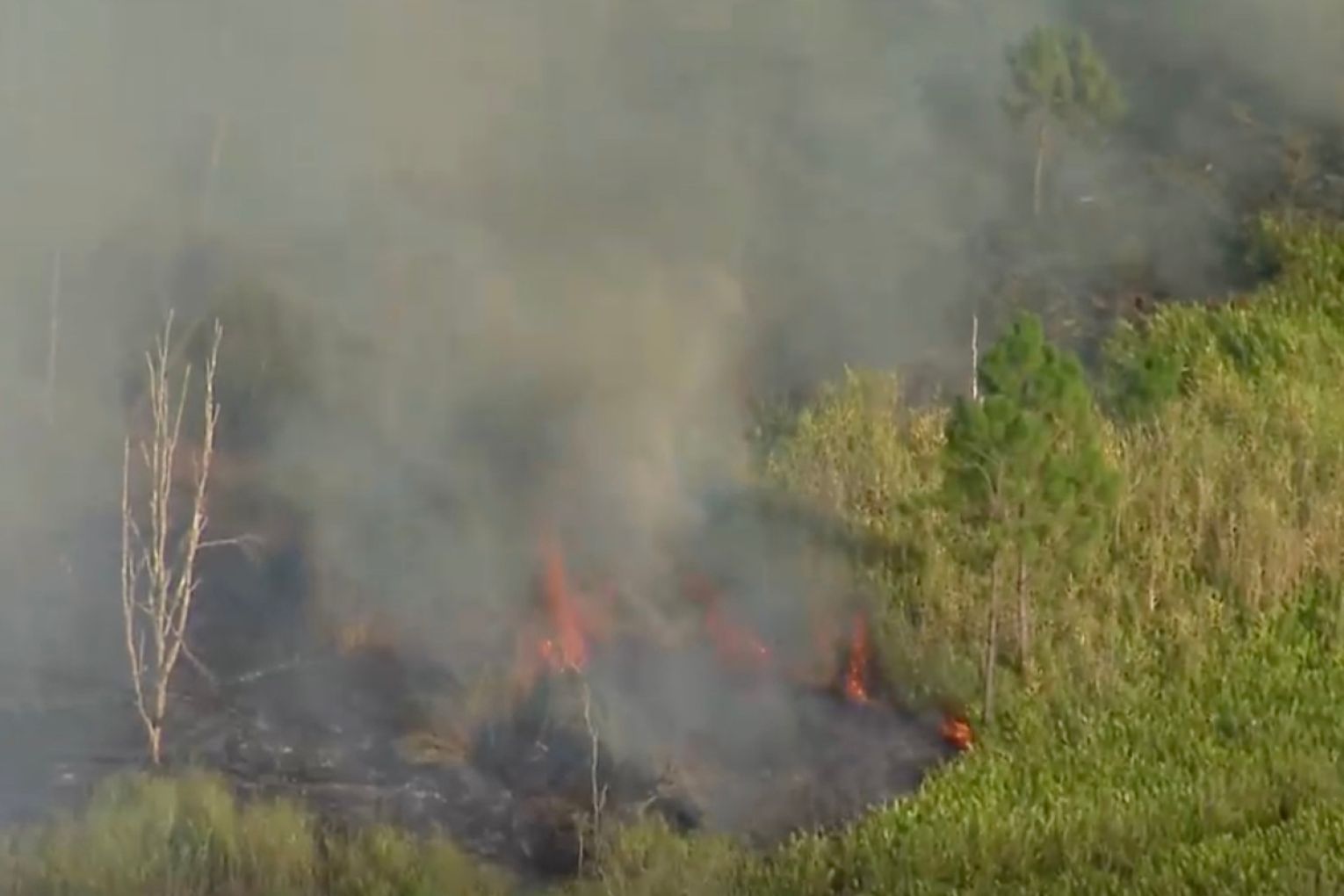 A plane crash injured passengers and ignited a bush fire on January 27th, 2026, at Heck Field in Woongoolba, Gold Coast. Picture: ABC News
