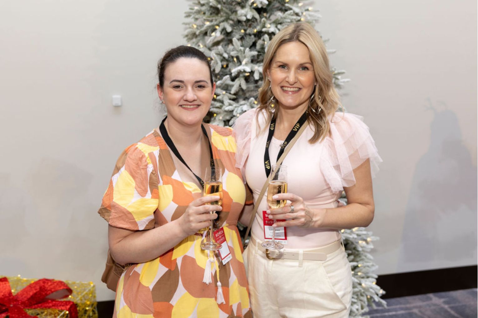 Thumbnail for Polaris connecting women in business Christmas event
