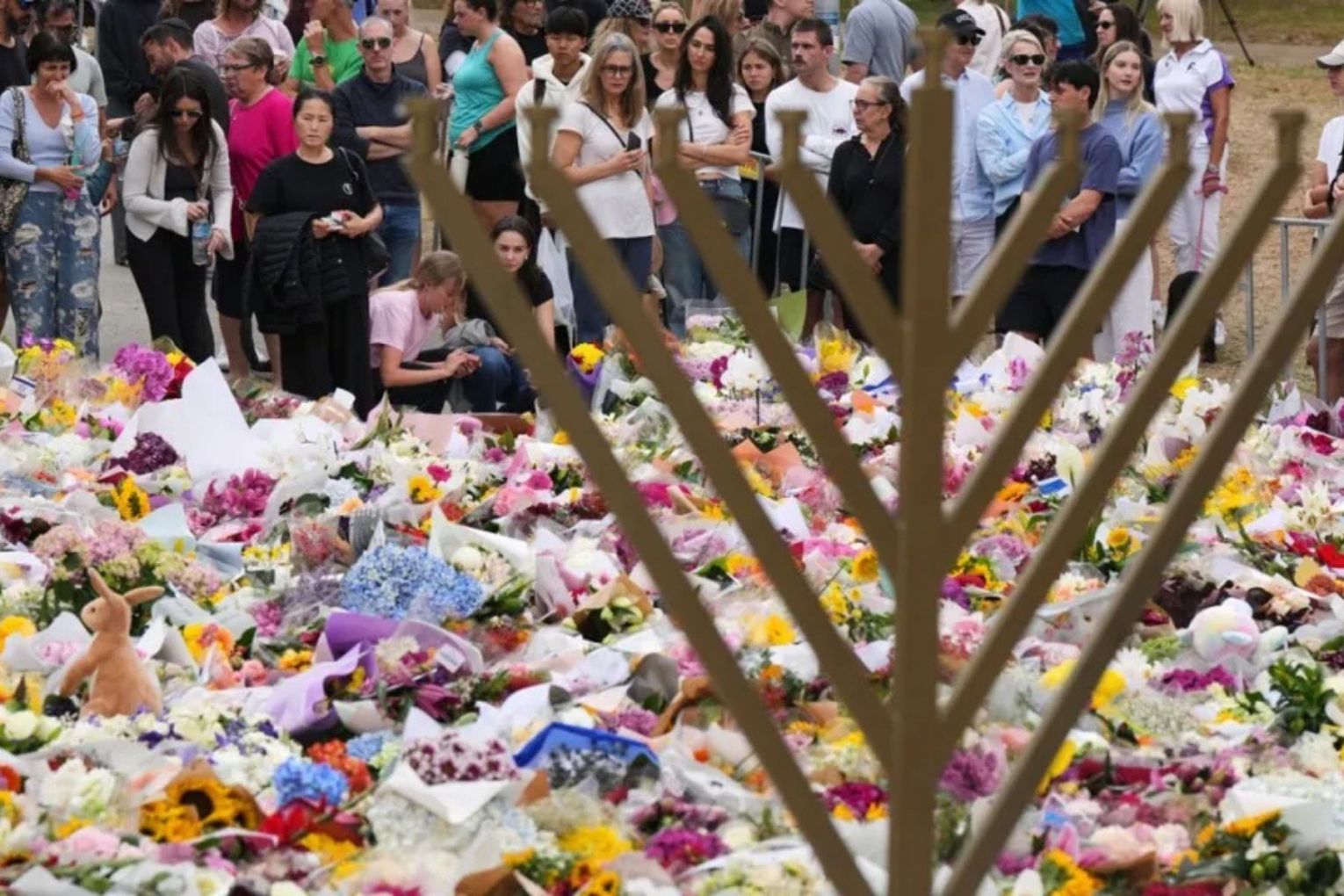 Federal parliament will debate draft hate speech reforms introduced after the Bondi terror attack.