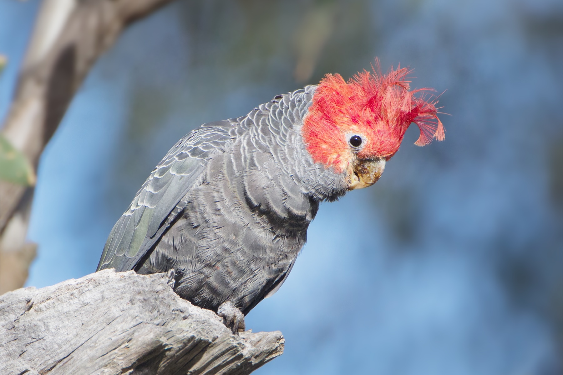 Poem: The Gang Were All There