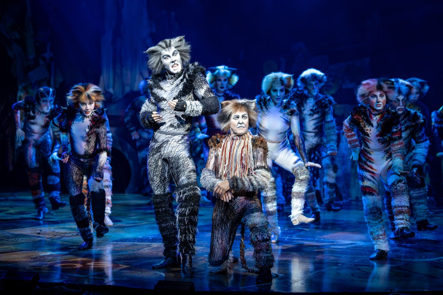 Jarrod Draper and Todd McKenney in Cats. Photo: Daniel Boud