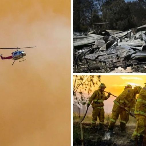 Thumbnail for Heartbreaking loss amid ongoing bushfire threat