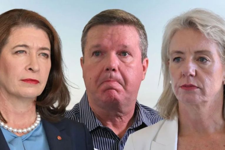Thumbnail for Trio may quit as Coalition splits on hate speech