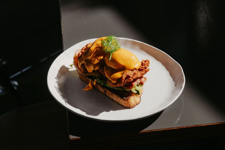 Thumbnail for Todd & Pup