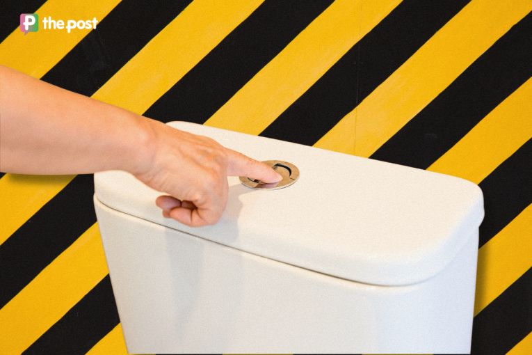 Thumbnail for Fatbergs, flush fails and freaky finds: What’s been going down our pipes