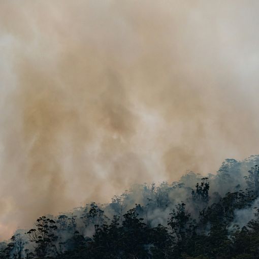 Thumbnail for Planned burn scheduled for Mount Nebo this weekend