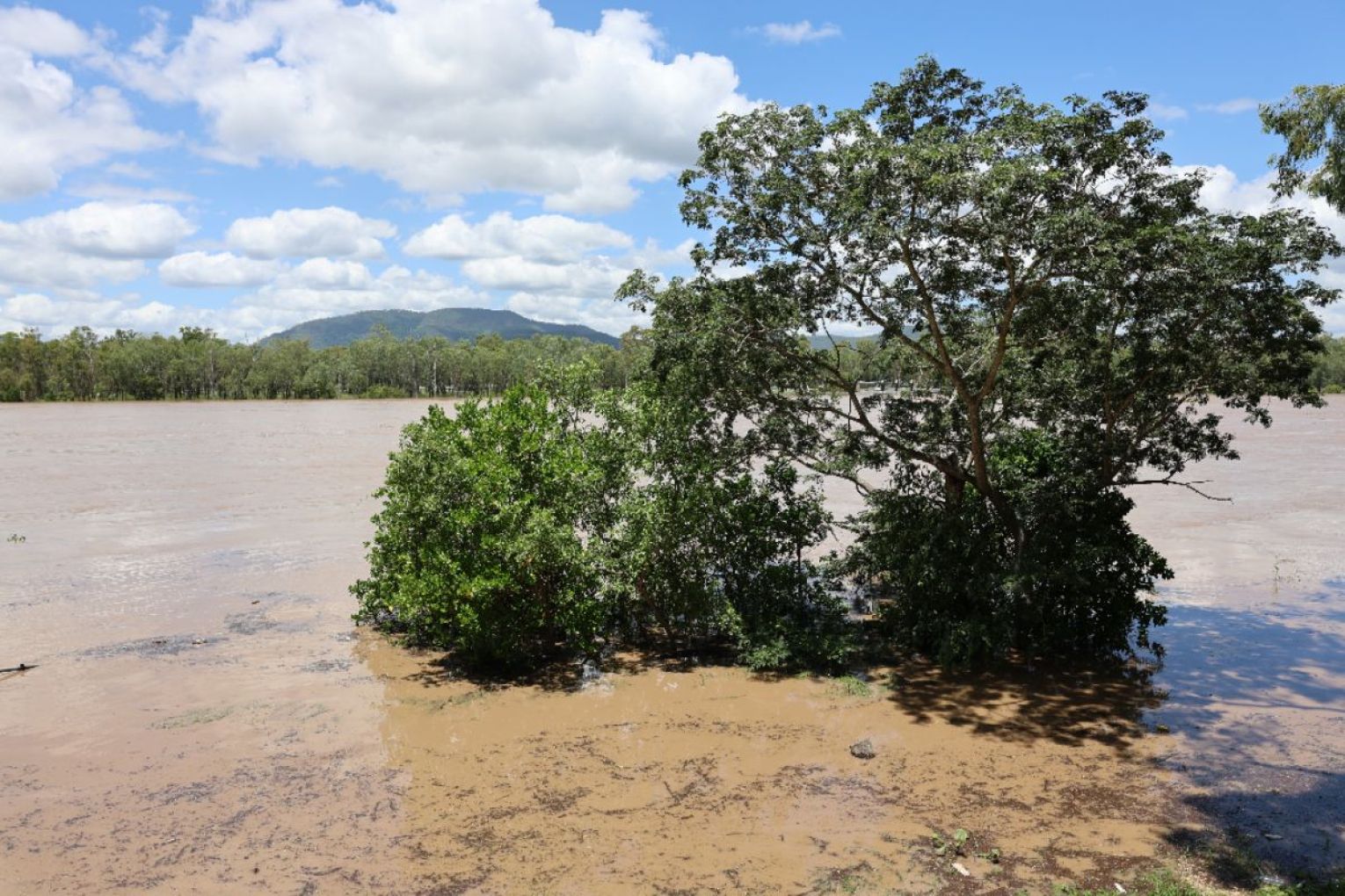 Fitzroy River floodwaters. Photo: Supplied