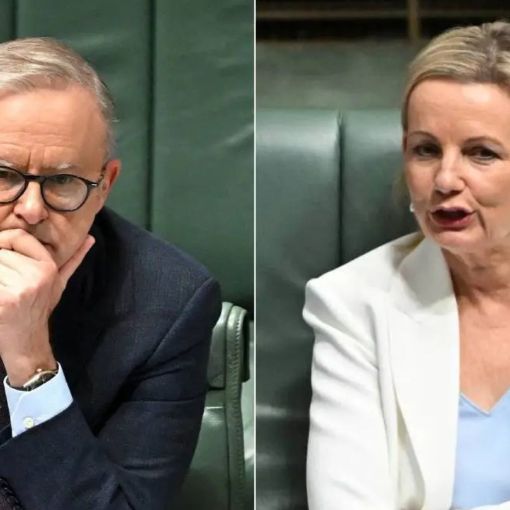 Thumbnail for Ley wedged by own troops on Albanese omnibus legislation