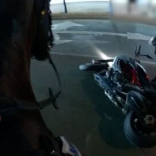 Thumbnail for ‘Thanks mate’: Man’s brave act after police horses injured