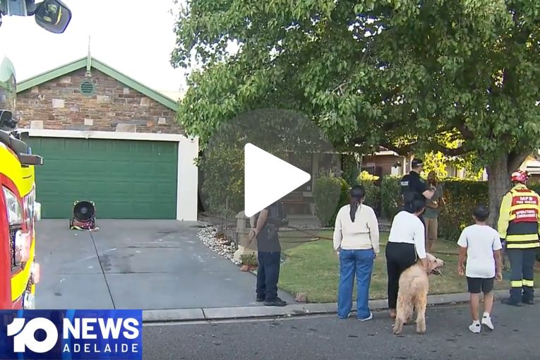 Thumbnail for VIDEO: Eastern suburbs shooting | Enfield firebombing