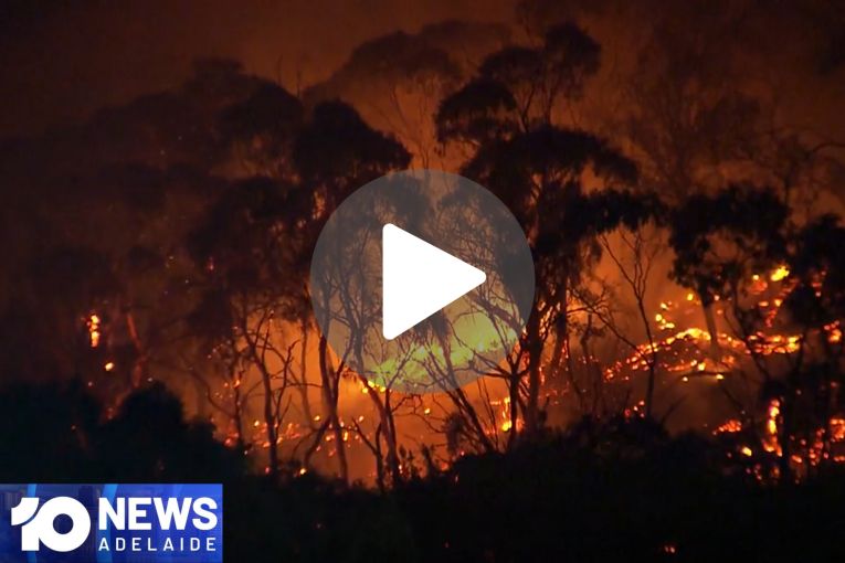 Thumbnail for VIDEO: Macclesfield grass fire | Gang storms Munno Para home