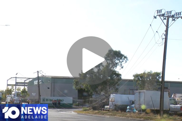 Thumbnail for VIDEO: Wild winds wreak havoc | Manhunt after truck hits Stobie pole