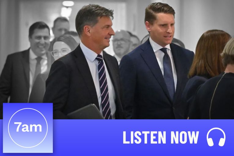 Thumbnail for Friday face-off: Inside the Libs’ leadership spill