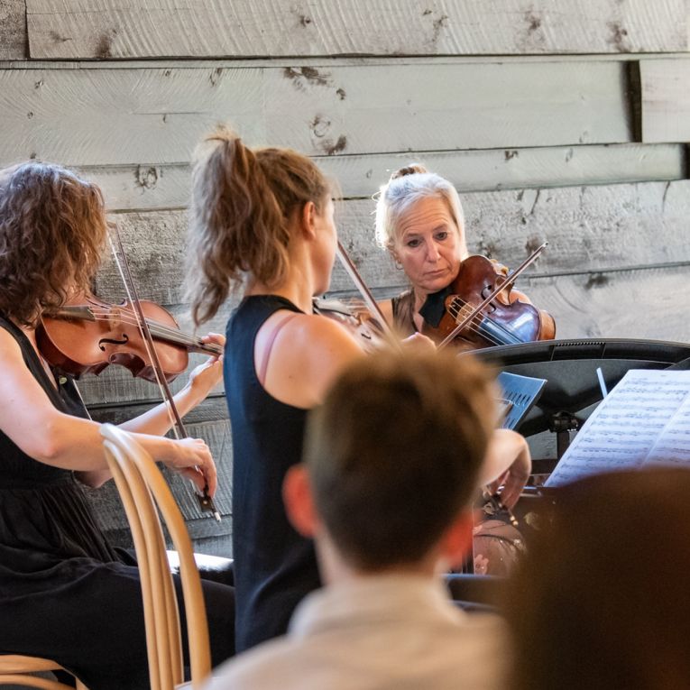 Thumbnail for A gutsy addition to Adelaide’s classical music landscape