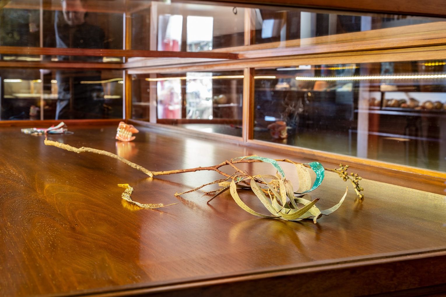 Installation view: 2026 Adelaide Biennial of Australian Art: Yield Strength, featuring Remnants Of My Father by Archie Moore, Museum of Economic Botany, Adelaide. Photo: Saul Steed / Supplied