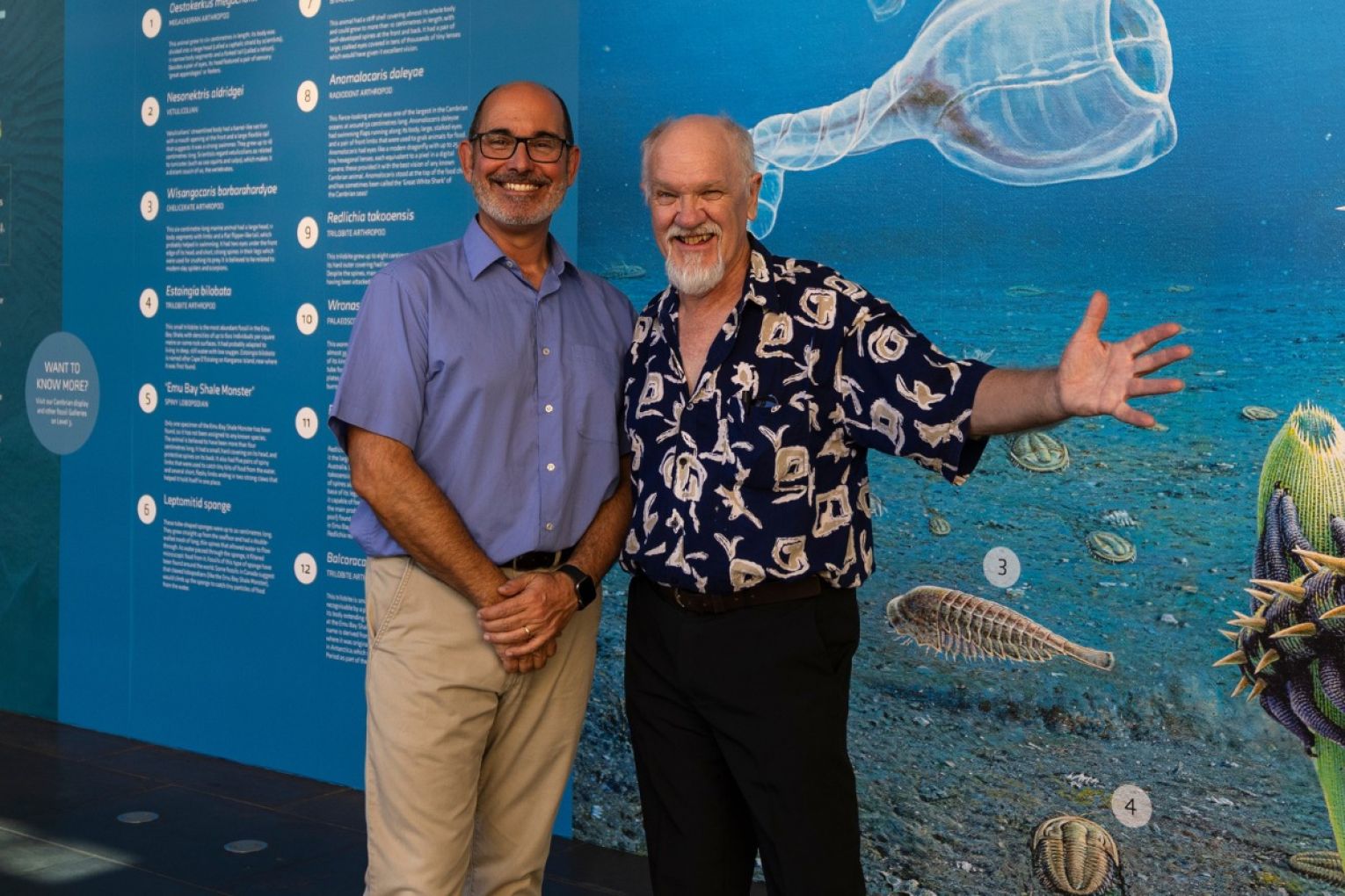 Thumbnail for Creatures of the Palaeozoic display opening