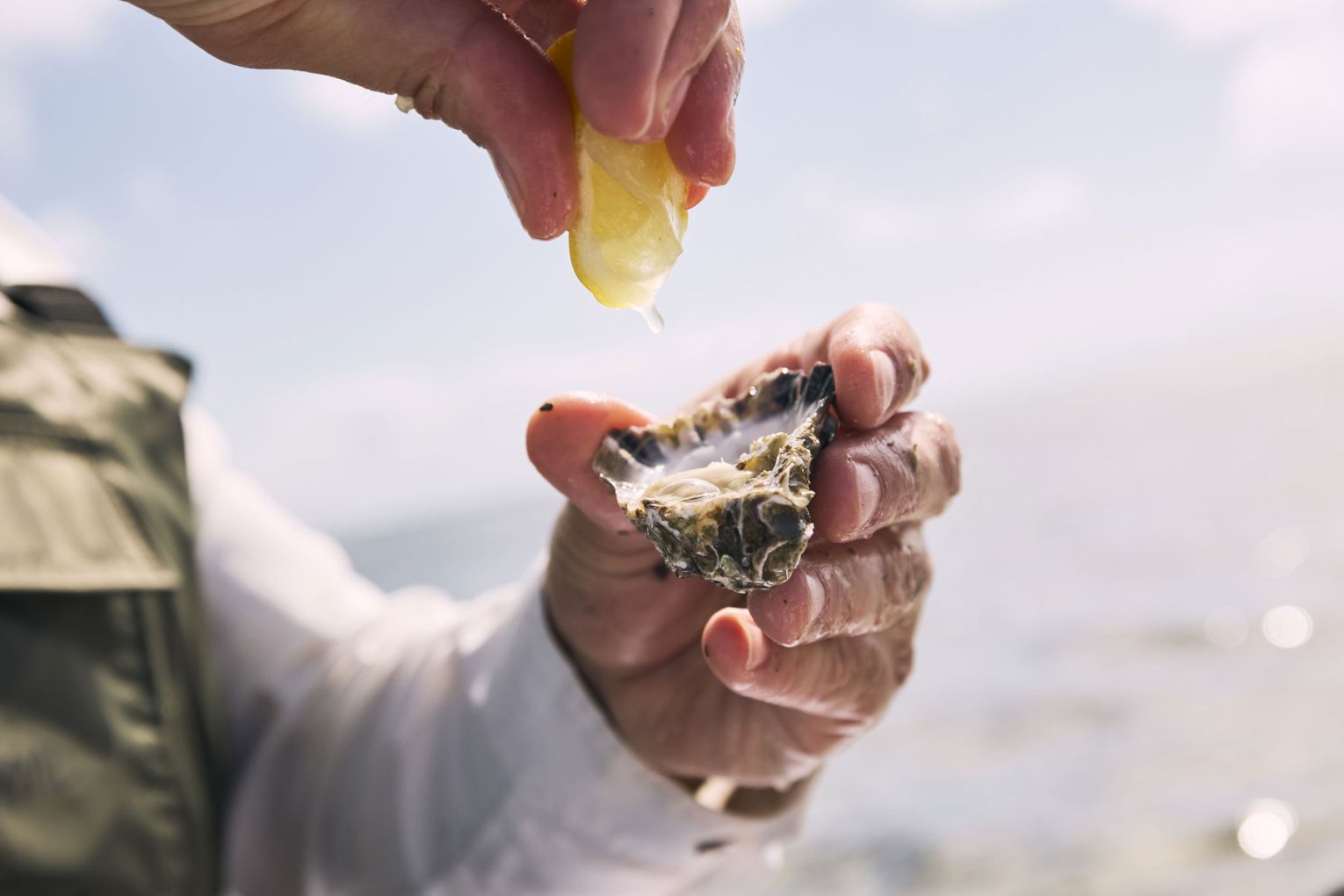 Brisbane Oyster Tours, Moreton Bay | Credit: Phoenix Wilson from Content Lion