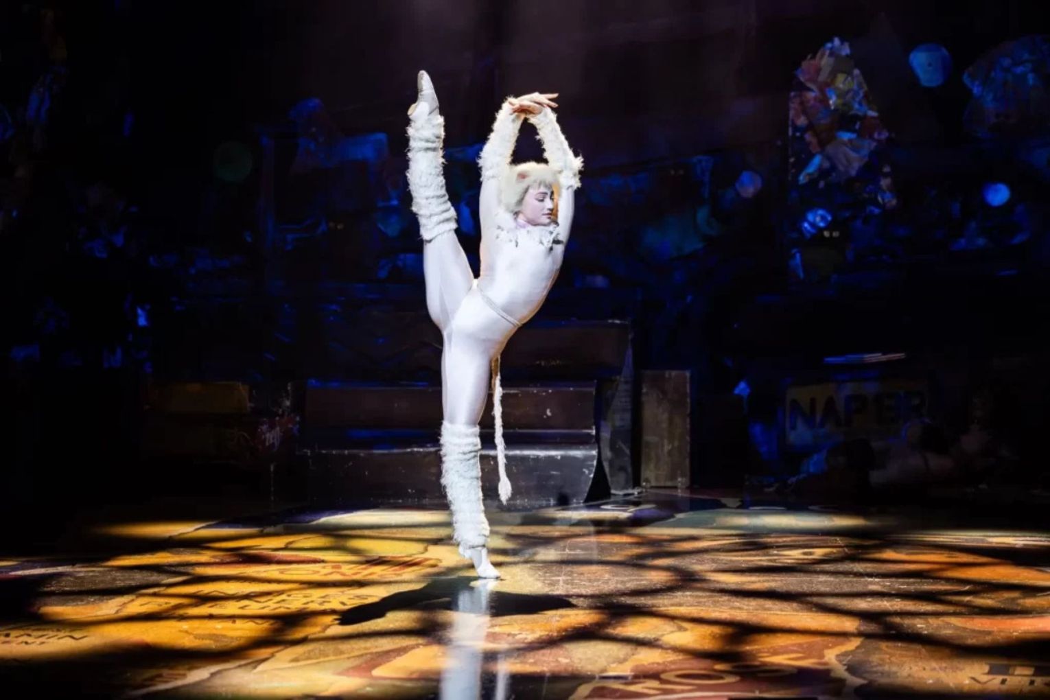 CATS, QPAC | Image credit: Daniel Boud