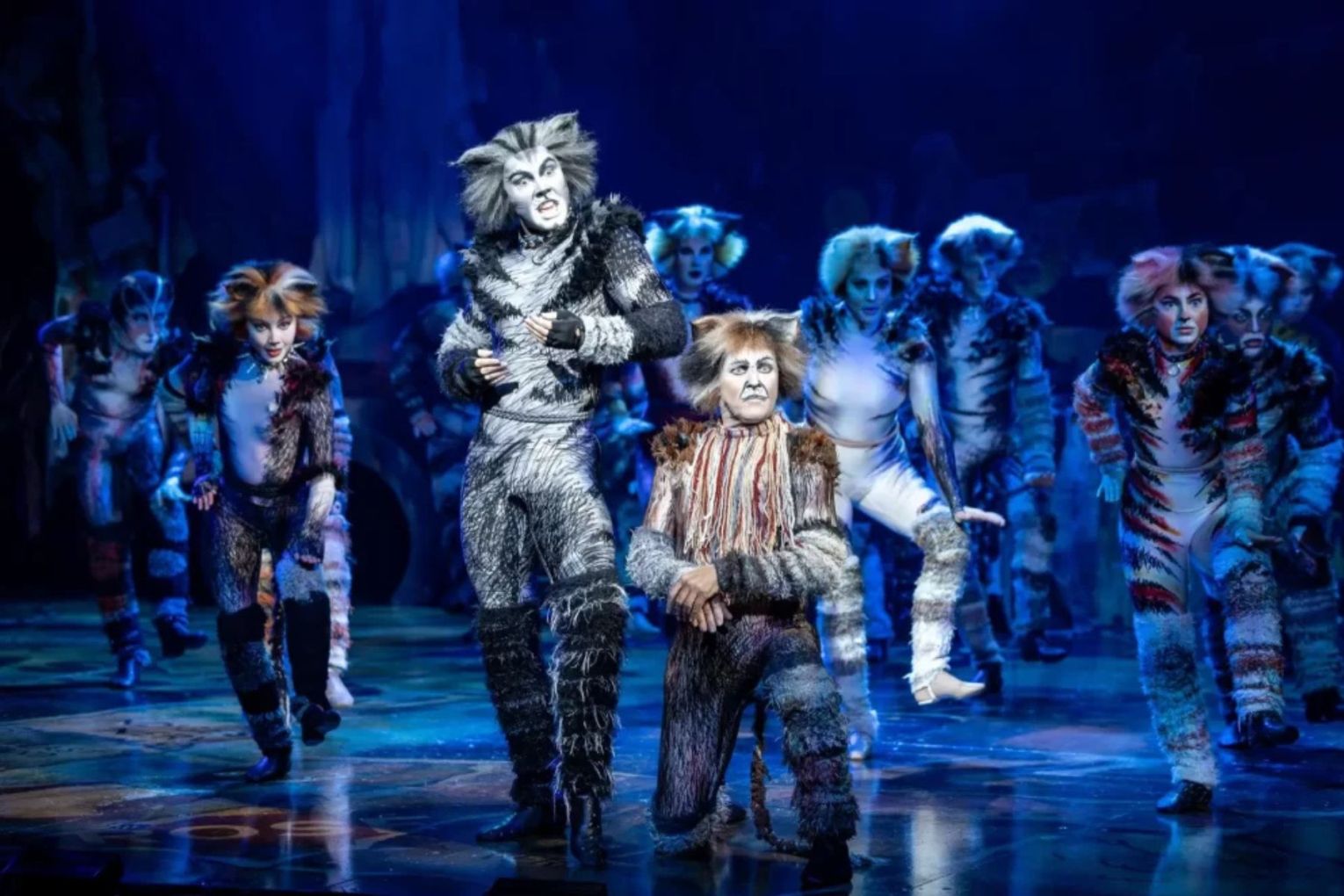 CATS, QPAC | Image credit: Daniel Boud