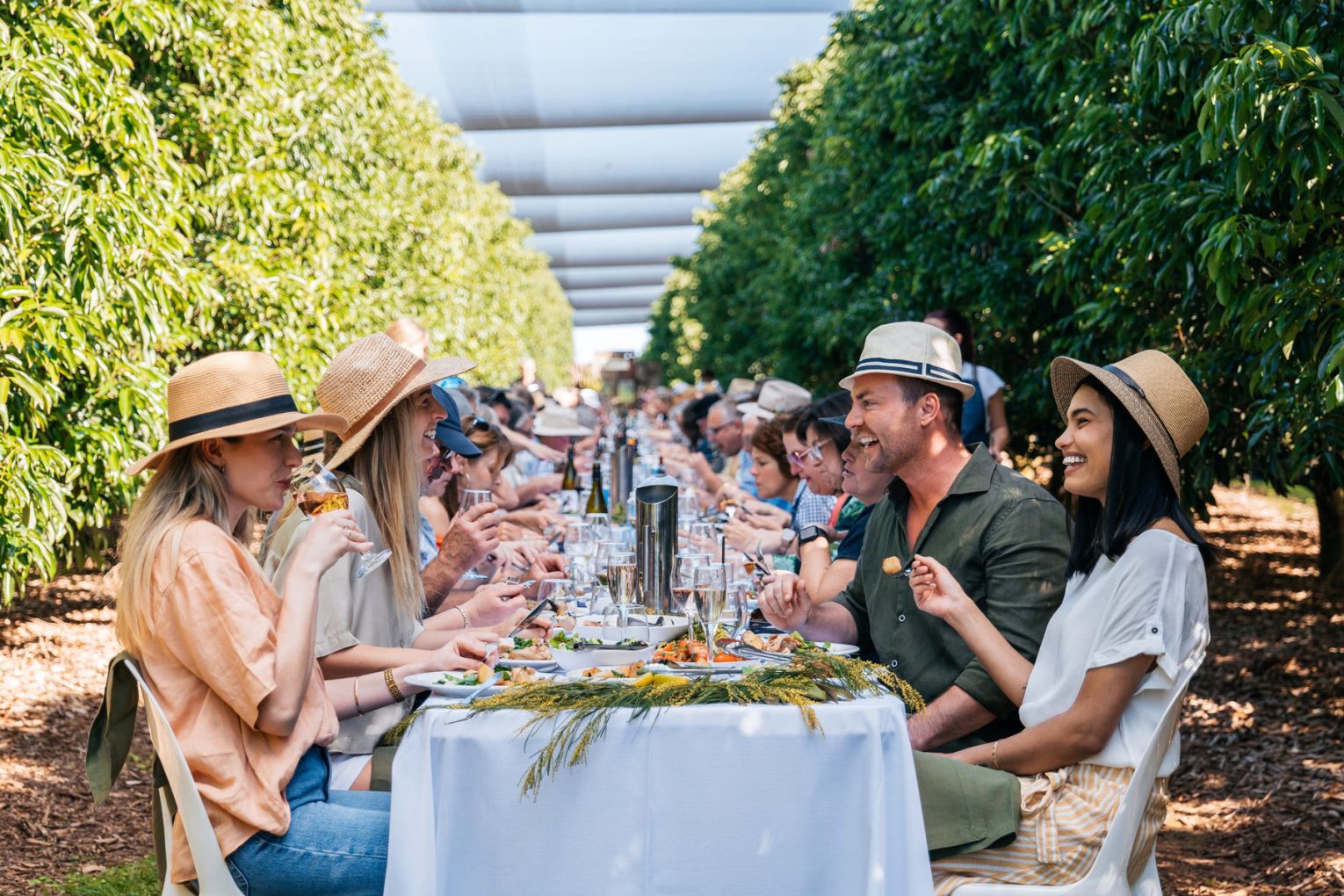 The Curated Plate is coming back to the Sunshine Coast from July 24 to August 2 | Credit: image supplied