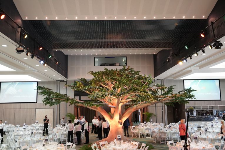 Thumbnail for Southport Sharks