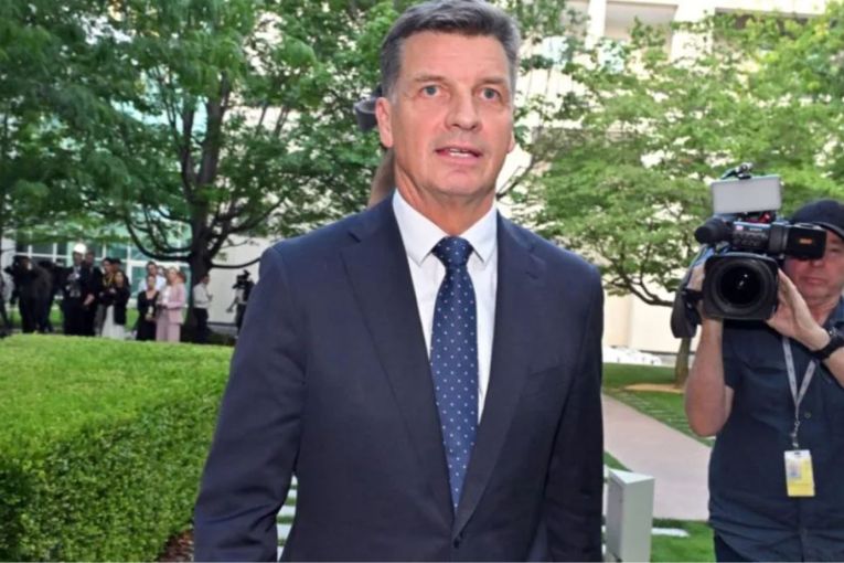 Thumbnail for Taylor quits frontbench as leadership spill looms 