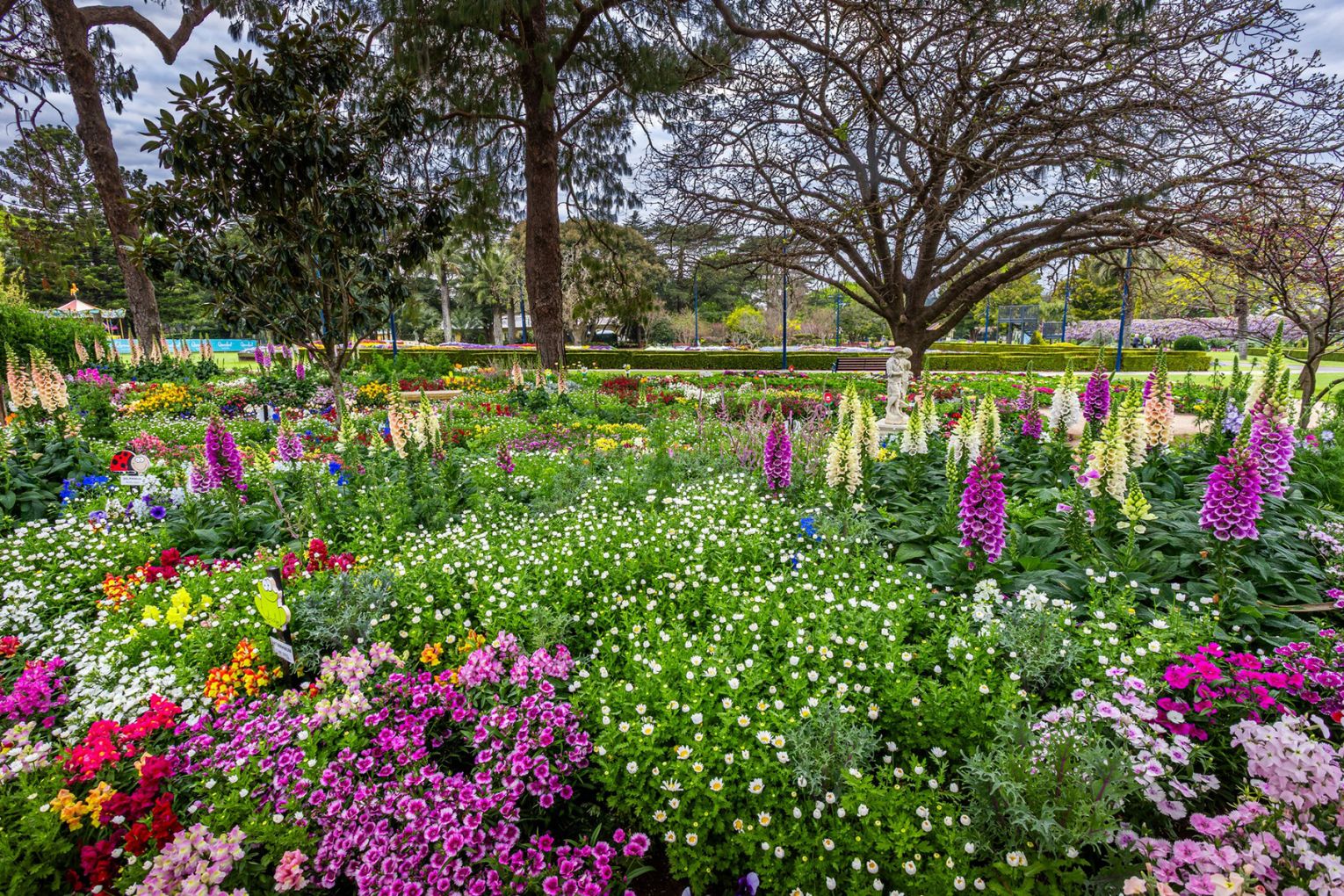 Credit: Toowoomba Carnival of Flowers