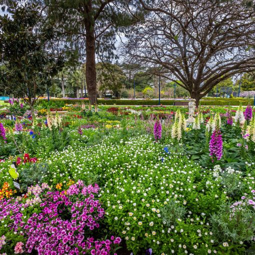Thumbnail for New funding keeps Toowoomba flower festival in bloom