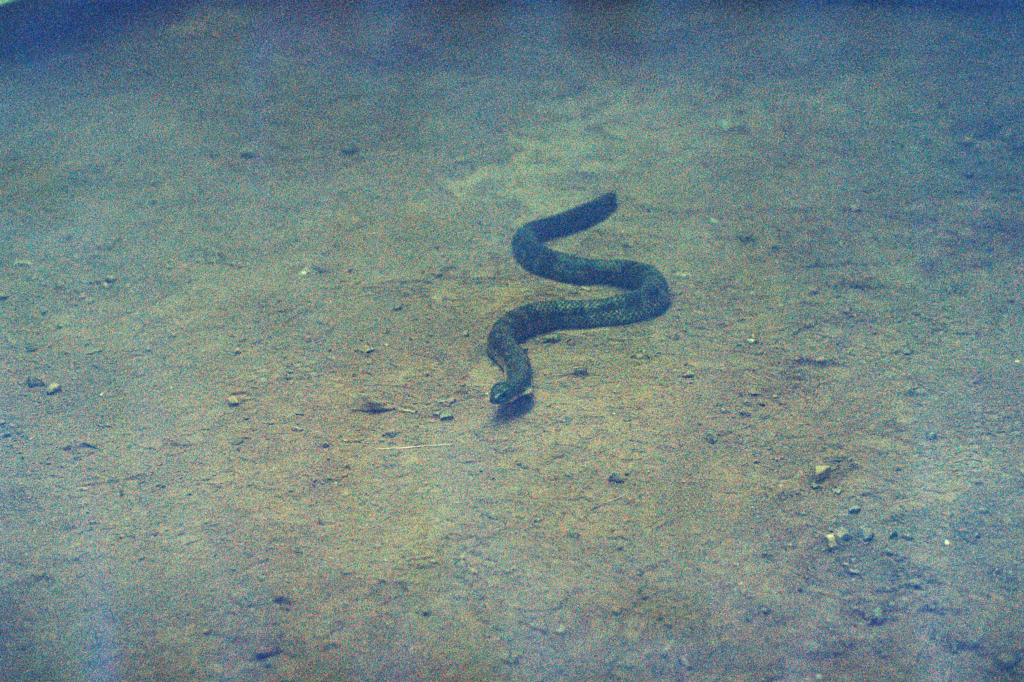 2026 Adelaide Biennial of Australian Art: Yield Strength