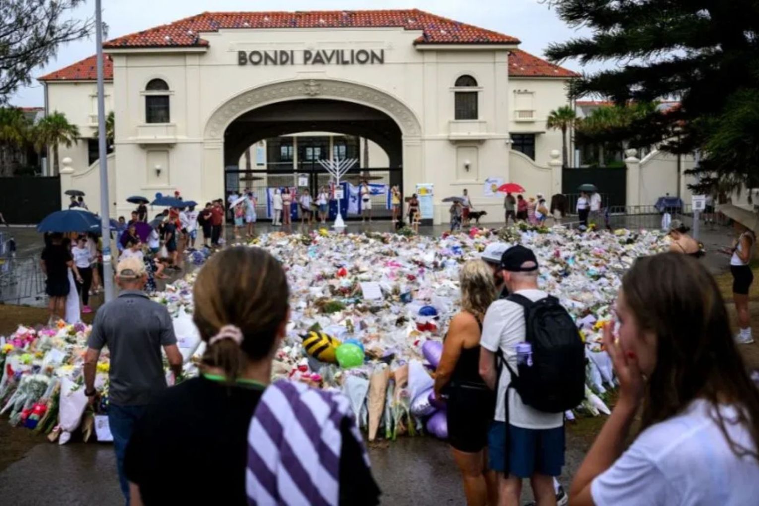 Fifteen people were killed when gunmen opened fire on a December 14 Hanukkah celebration at Bondi.