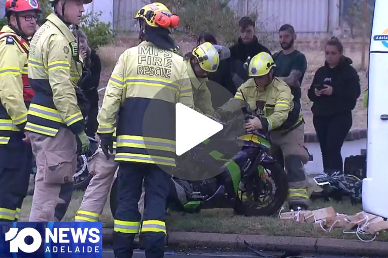 Thumbnail for VIDEO: Animal cruelty charges | Motorbike rider fractures leg