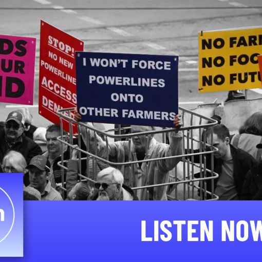 Thumbnail for ‘Grown men reduced to tears’: The laws pushing farmers to the brink