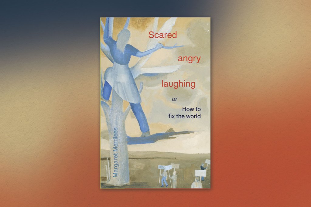 Book review: Scared Angry Laughing: or How to fix the world