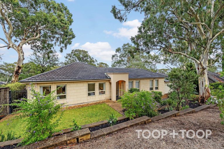 Thumbnail for 11 Mingara Avenue Stonyfell