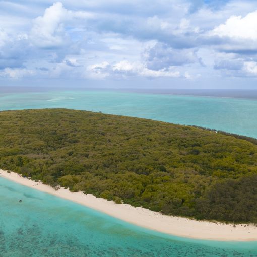 Thumbnail for Rat news for reef’s North West Island