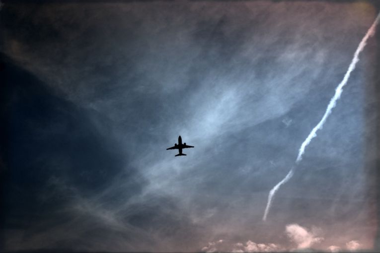 Thumbnail for Poem: Flying Home