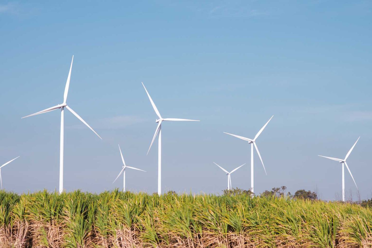 Proserpine cane growers attending an Energy Forum on Friday to raise their concerns about a new wind turbine project. 