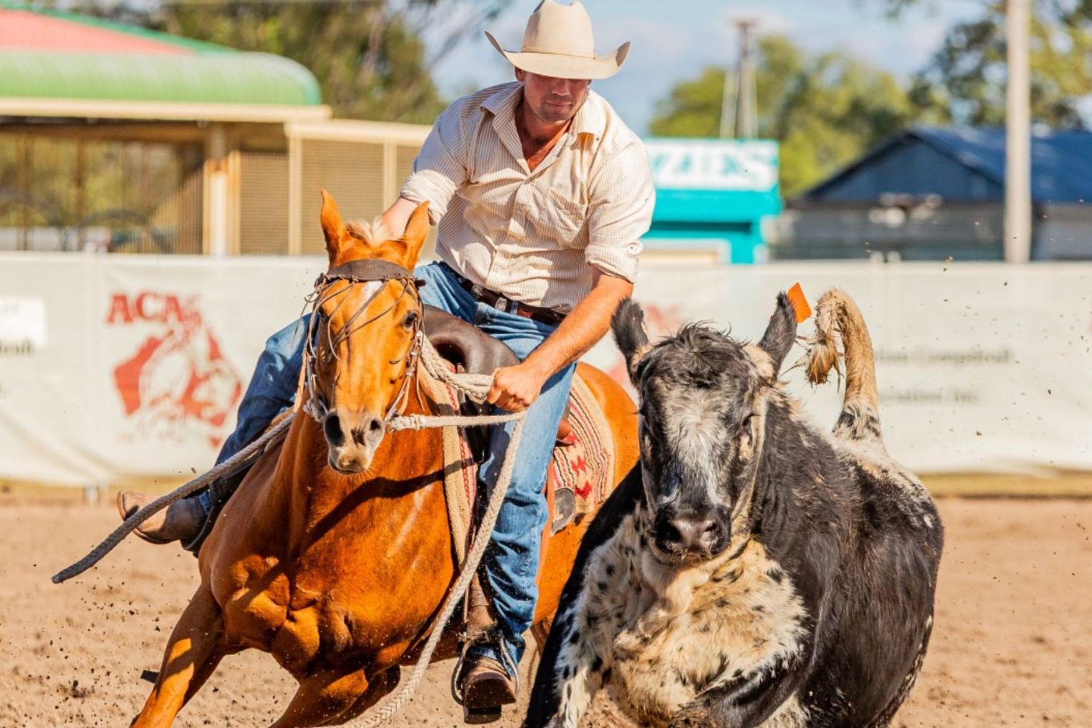 Two campdrafts have been postponed due to ongoing fuel crisis. Picture: via Australian Campdraft Association Facebook