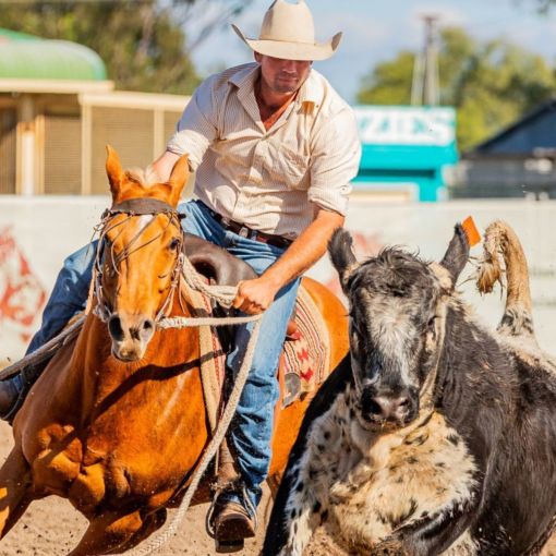 Thumbnail for Campdrafts cancelled but rodeos ready to ride amid fuel crisis