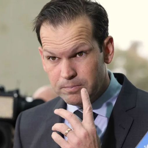 Thumbnail for ‘Hyper-Australia’: Nationals leader targets One Nation