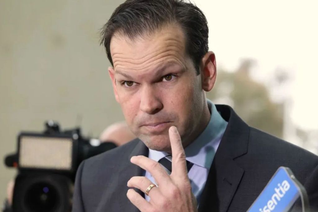 ‘Hyper-Australia’: Nationals leader targets One Nation