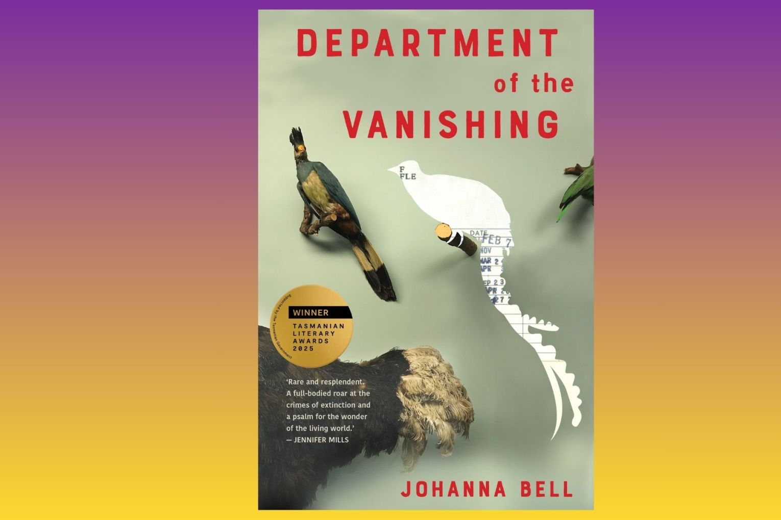 Johanna Bell's The Department of the Vanishing is a story of environmental loss but also a piercing glimpse into heartbreak of its protagonist.